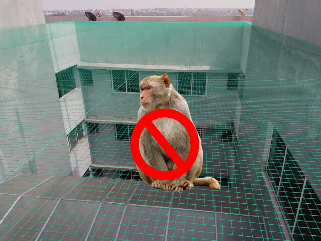 Monkey safety nets