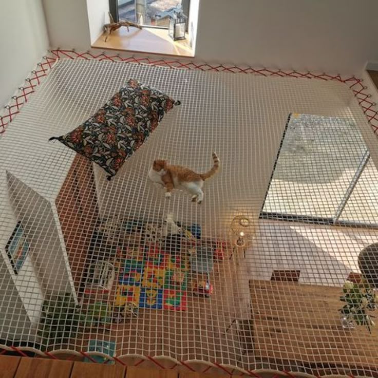 pet safety nets
